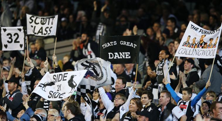 NoGrey_Area's tweet photo. Round 6 - Collingwood vs Geelong Match Preview. - http://t.co/nQzlhcq4O1 #gopies @collingwoodfc http://t.co/Ihpqox6cx8