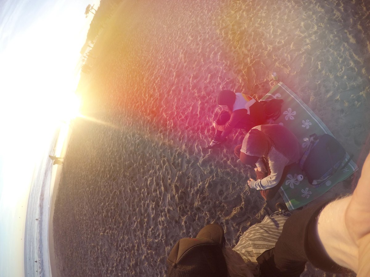MemoryEcho's tweet photo. MemoryEcho Crew in Santa Cruz straight chillin! Electronic Sleep DragonOtter, Peek #gopro #pixelmator #musicproducers http://t.co/b3BEL6tdmD