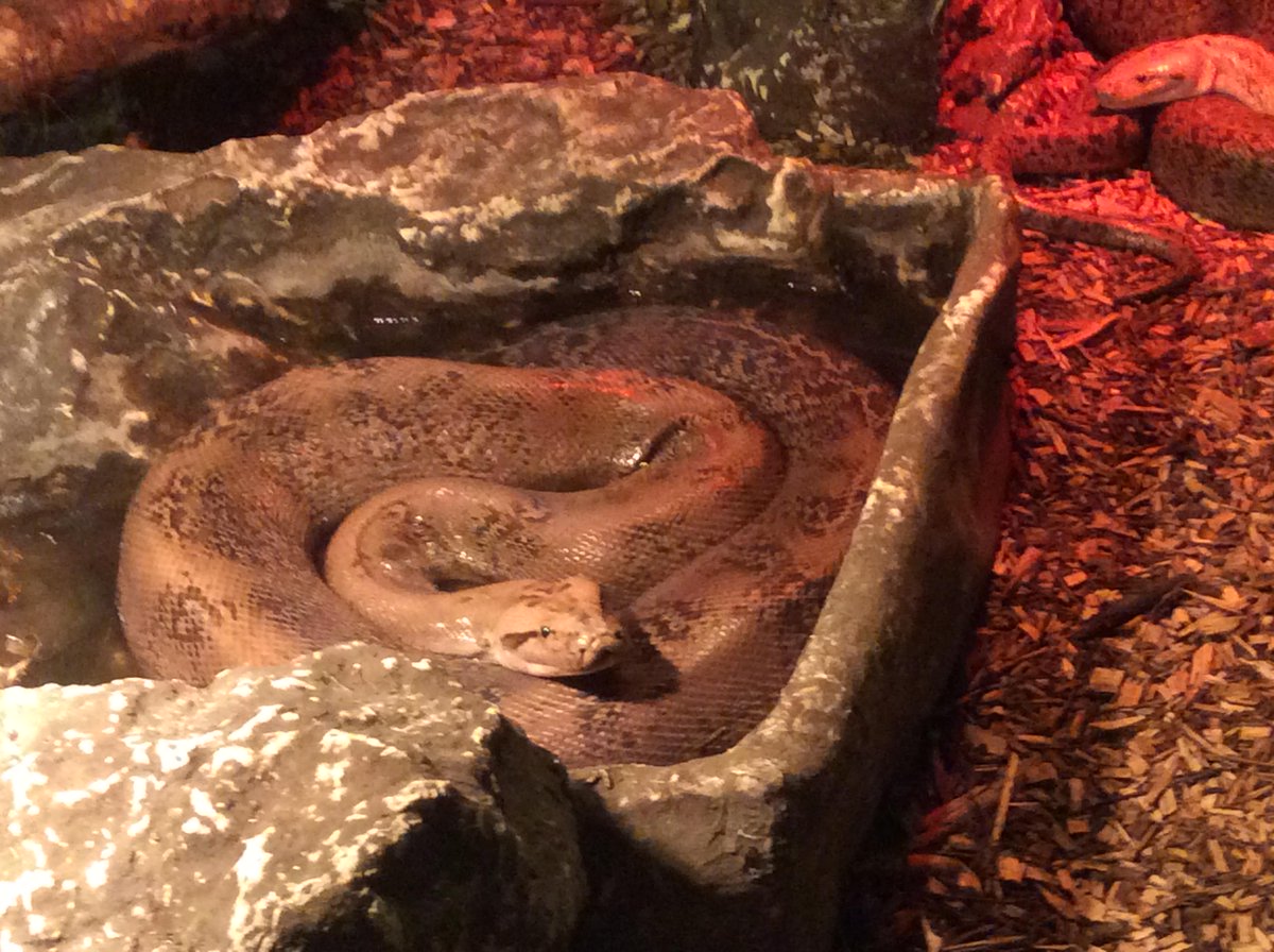 GreenAcresAnimalPark tweet media