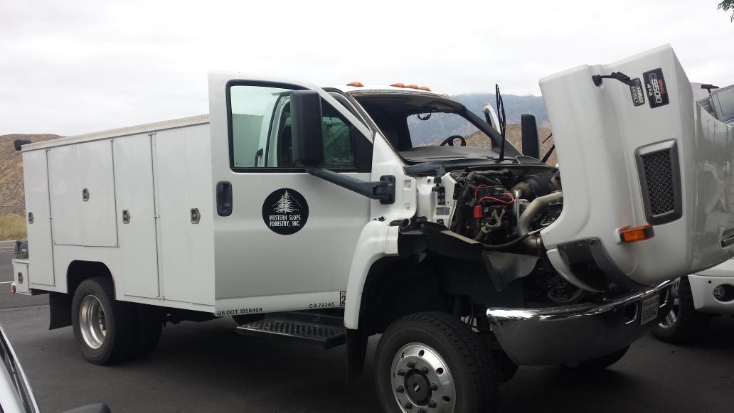 ShelbyAutoGlass's tweet photo. #GMC 5500 #Tree service # truck #windshield installation in #Hemet http://t.co/WRn1wftxar