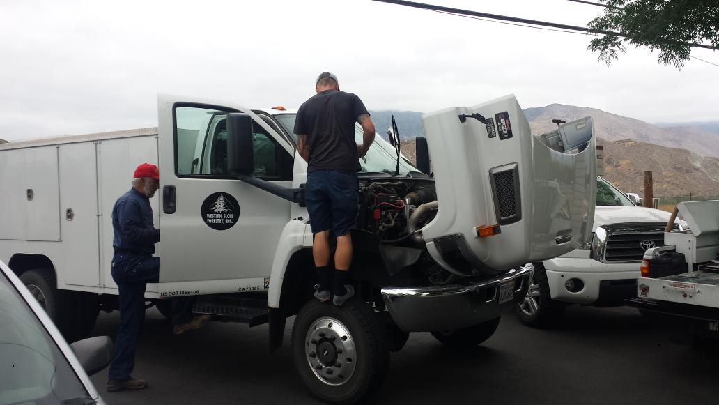 ShelbyAutoGlass's tweet photo. #GMC 5500 #Tree service # truck #windshield installation in #Hemet http://t.co/WRn1wftxar