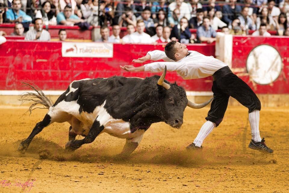 COMO VENCER A QUIEN NUNCA SE RINDE...  LOS BUENOS DIAS CON EL ARTE DE <a href="/DaniPlata2/">Plata</a>