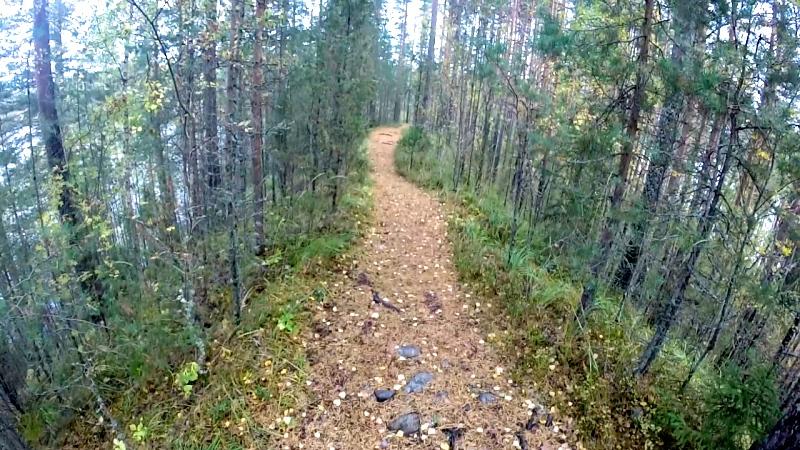 Looking for stunning forest paths and new trails? Check out <a href="/VierumakiTrail/">Vierumäki Trail</a> Marathon: mynextrun.com/vierumaki-trai…