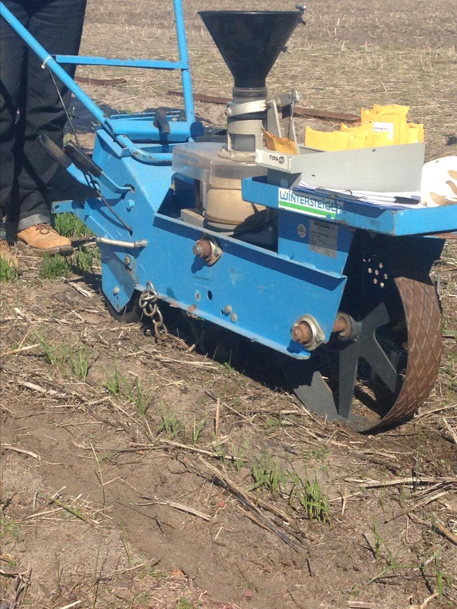 BrendaShackley's tweet photo. Single row seeder sowing second time of sowing next to Mace sown April 22 at Katanning. More data for Flower Power http://t.co/zBwF3Zidvg