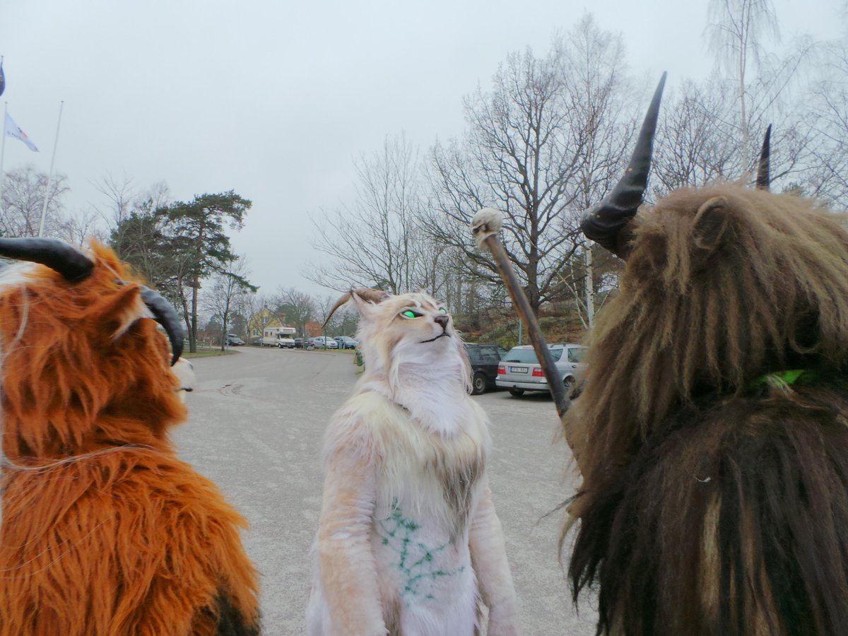 OmniSable's tweet photo. I'll just leave it here, make a store out of this yourselves.

#FursuitFriday

The chars are amazing btw, who r they? http://t.co/vmd0Dsx9bu