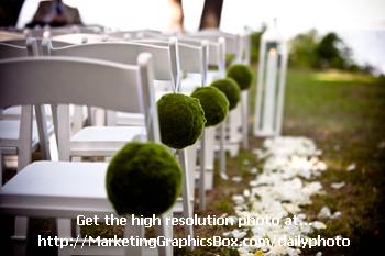 MGraphicsBox's tweet image. Walk or Run? - marketinggraphicsbox.com/walk-or-run/ #dailyphoto