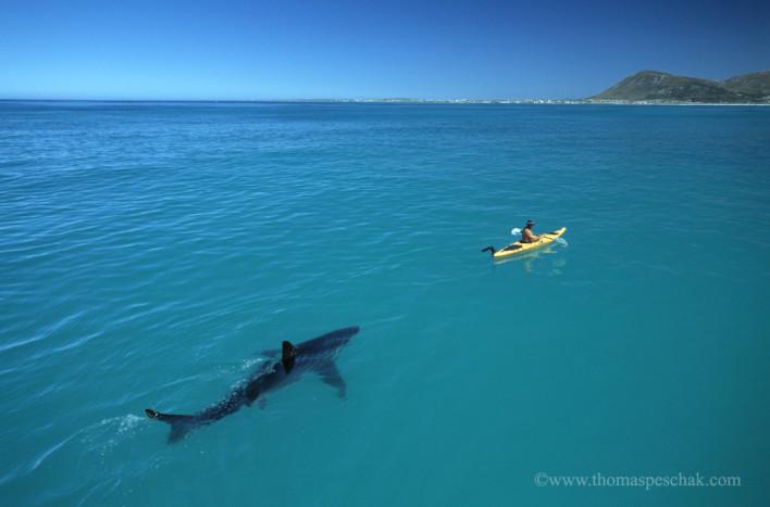 TechBeatNews's tweet photo. Who Needs Photoshop? These Pics Prove Timing Is Everything! - http://t.co/OuB9TAsH8m http://t.co/jXoxjowOE0