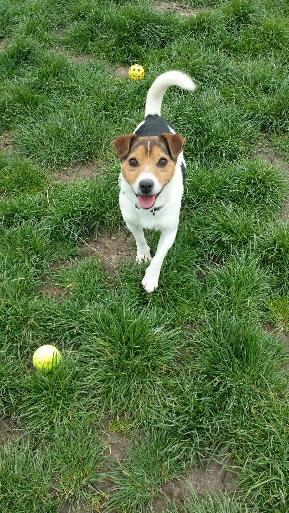 NCARescue tweet media