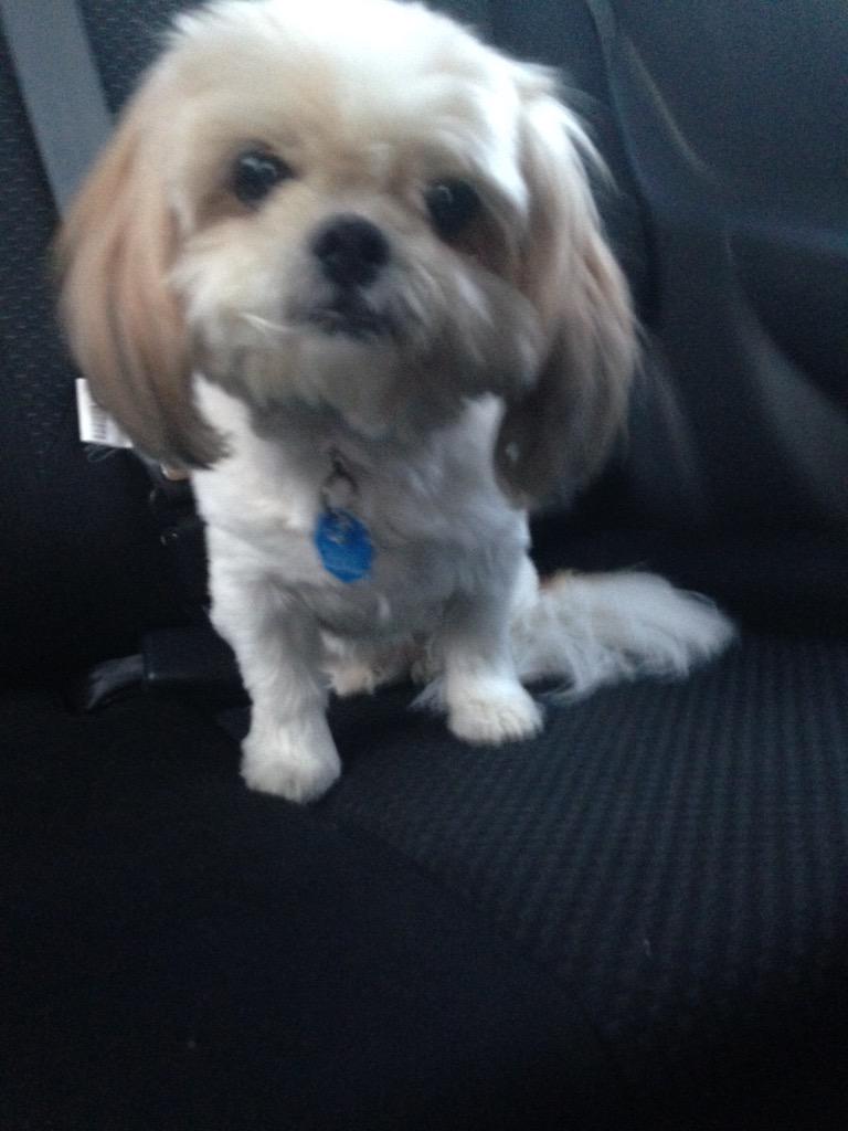 costa_a17's tweet photo. Thanks for taking care of Amy yesterday @MississaugaAH http://t.co/YXyCzjwNcD
