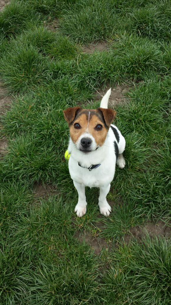 NCARescue tweet media