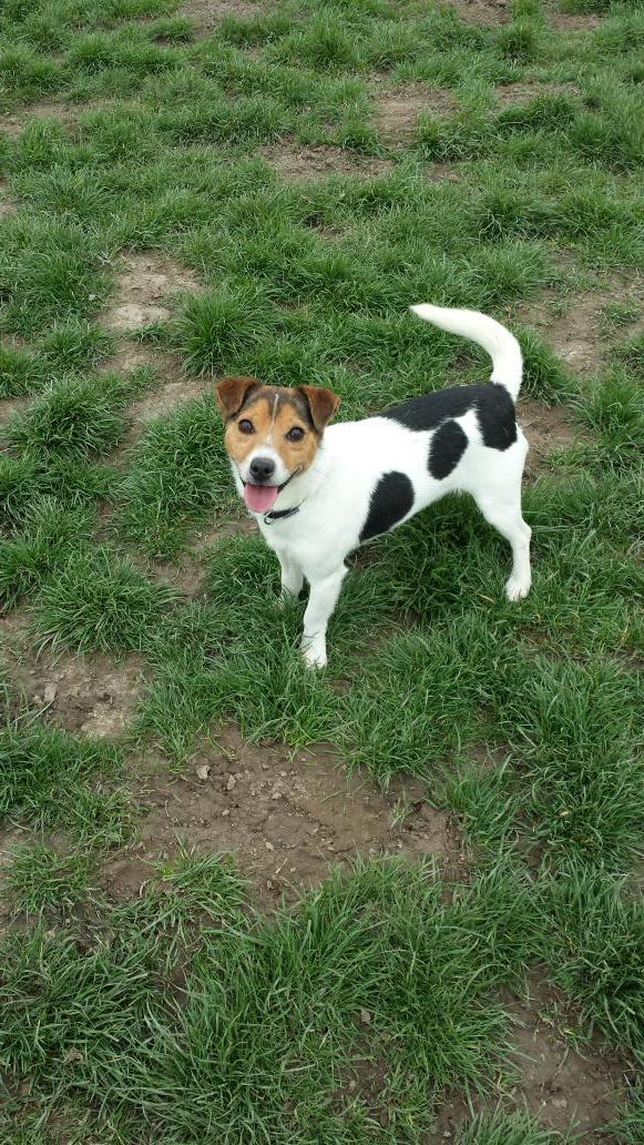 NCARescue tweet media