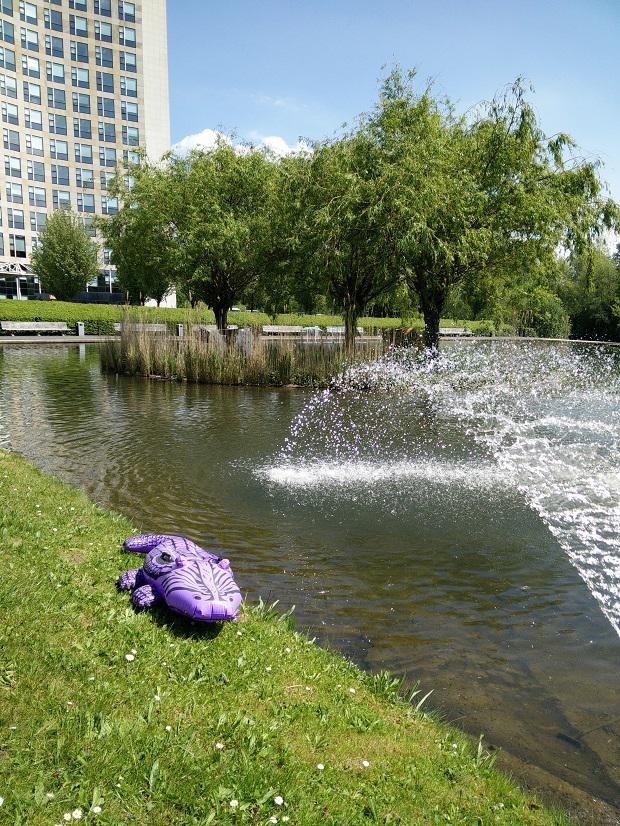 OHRA's tweet image. Hebben jullie onze #krokodil gezien? @nieuwsopbeeld  Gisteren was hij nog hier... #OHRAWaarIsDiePaarseKrokodil