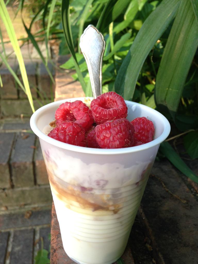 vmacmac's tweet image. Nonfat yogurt local honey homemade granola and raspberries ..on the go #breakfast #good good #healthy