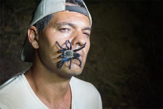 Vertele's tweet photo. ¡Regalamos entradas para el estreno de Wild Frank y conocer al presentador entre todos los RT!
http://t.co/06xjm5QfEg http://t.co/qi2PTiLfD7