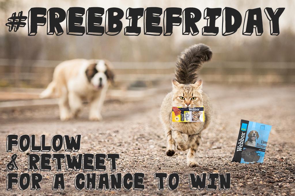 WebboxPetFood tweet picture
