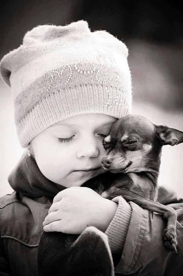 gede_prama's tweet photo. To teach children love is the best preparation to their future
http://t.co/w45WpLwScO
http://t.co/bVA5Qw8KJF