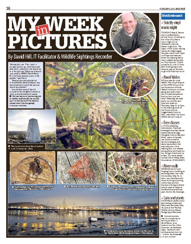 Joy Burgess tweet media