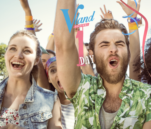Morgen is het zover, de állereerste editie van #vland! Wie heeft er zin in een feestjeeeee?! #vland15