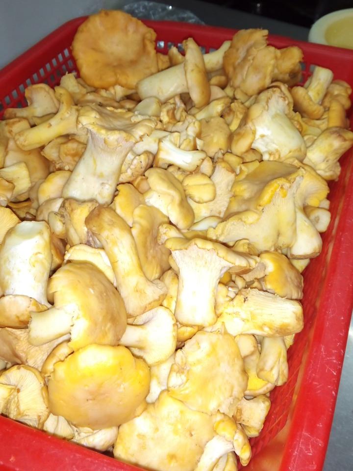 Empieza la Chantanela.Un espectaculo