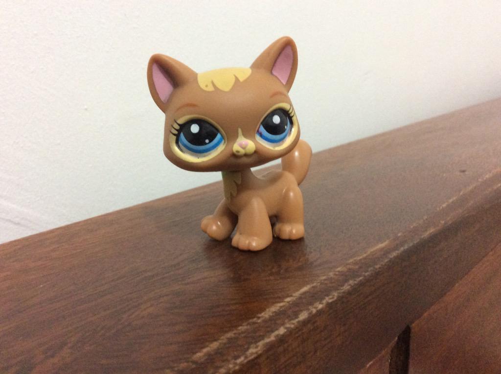 jodeflower's tweet photo. My new LPS #3578 http://t.co/TKTN3DZIDB