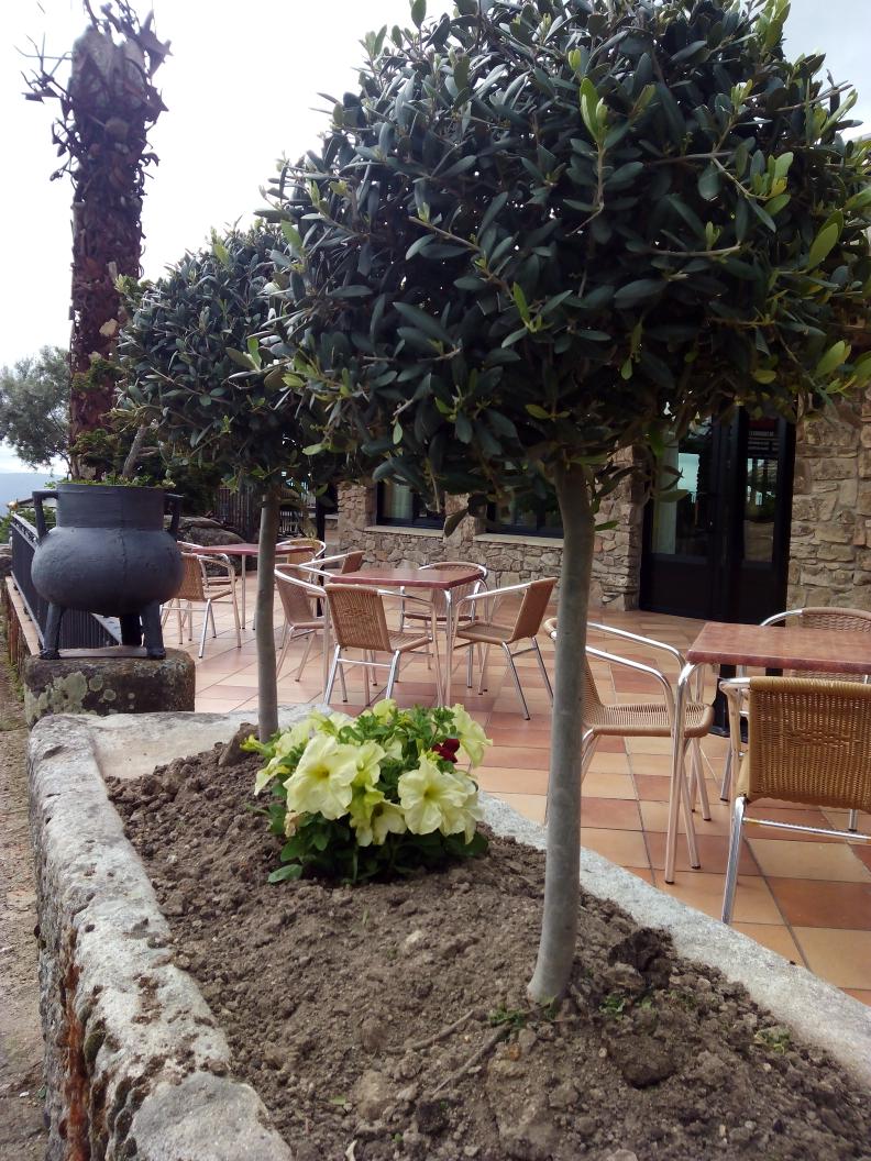 Rest Mirasierra (@mirasierrarest) on Twitter photo 