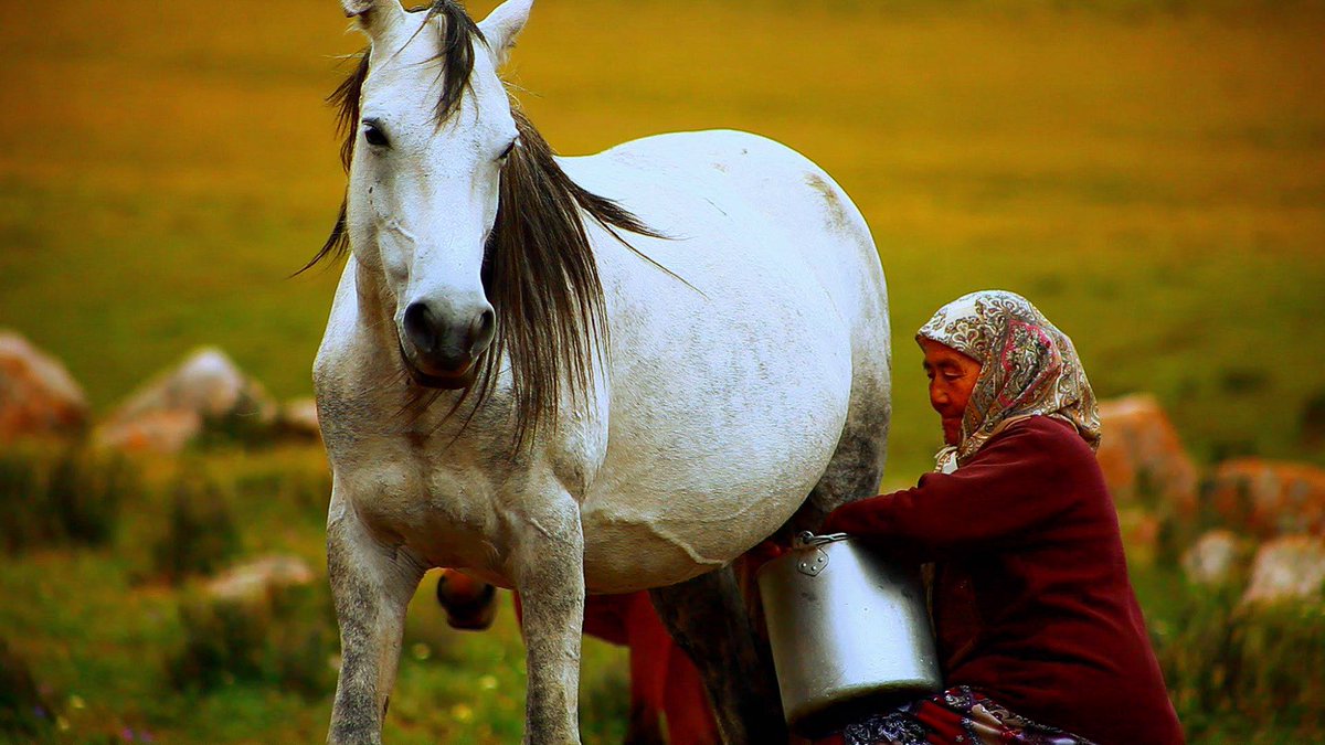 trtavaz's tweet photo. Olağanüstü doğası, zengin kültürüyle atayurt Kırgızistan'dan… http://t.co/kvOsMIlspI