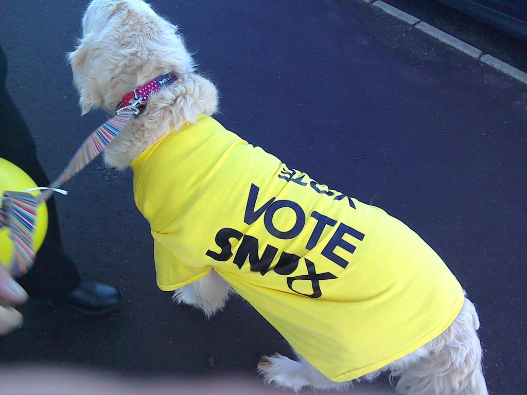 <a href="/Yesinverness/">Yes Inverness</a> allegedly it was dangerous dogs like yours &amp; mine that intimidated Labour Voters