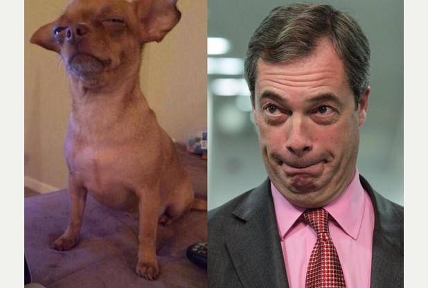 ThePoke's tweet photo. His dog is disappointed too. http://t.co/5viXgO35VN