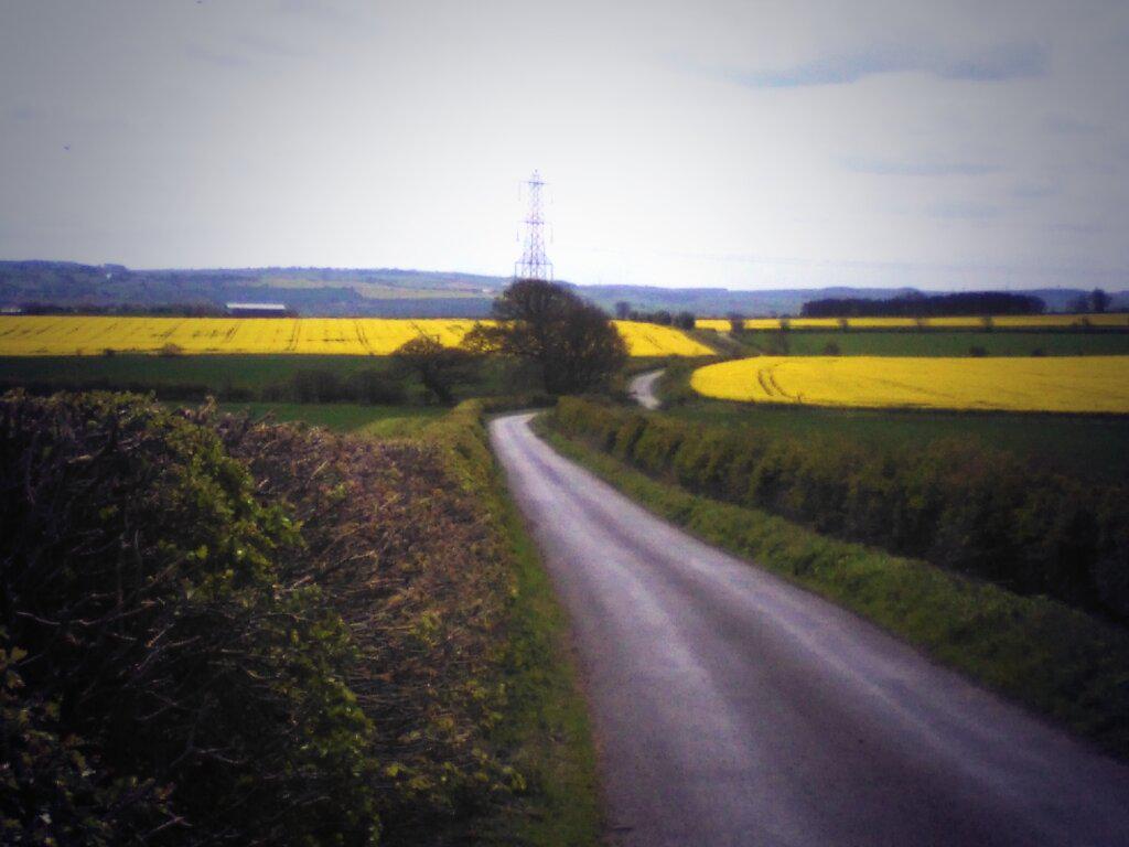 JoshFerguson11's tweet photo. Another shot of Northumbria at its finest #mycyclingpostcard http://t.co/4Egw0qfupy