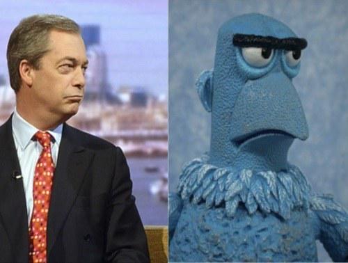 ThePoke's tweet photo. Who's the muppet now? http://t.co/qhxETFBsMd
