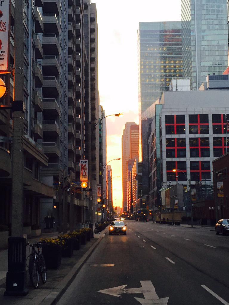 lemthelibrarian's tweet image. Good morning, Toronto! #trackpractice