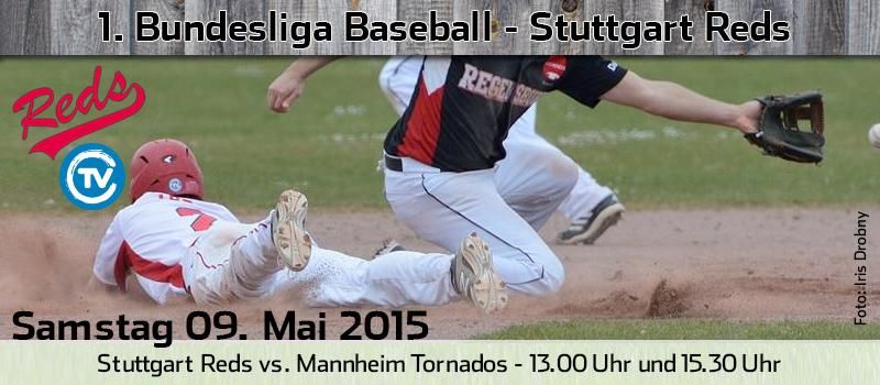 Stuttgart Reds tweet media