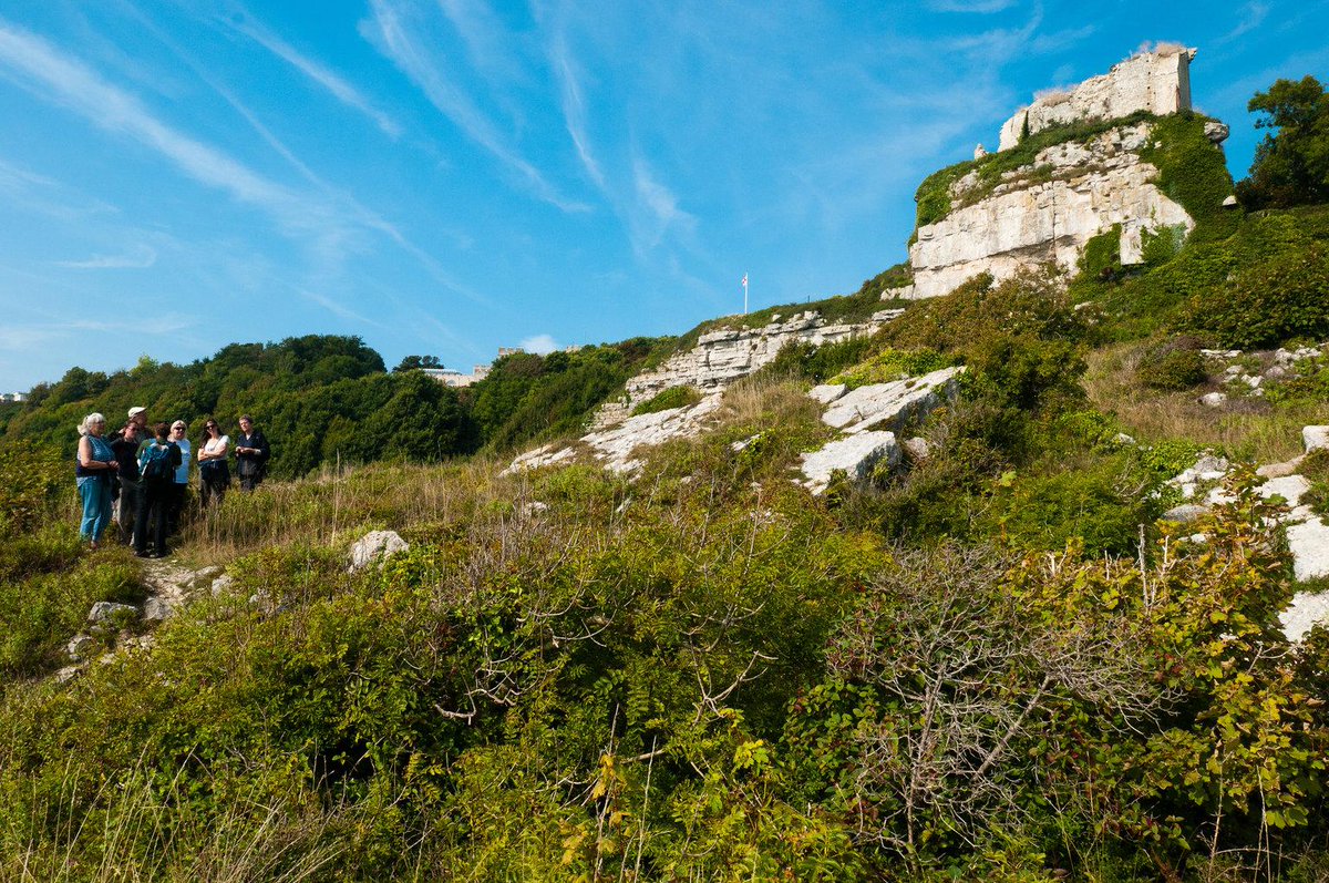 #Artists want to make new site specific work for an amazing island? #Portland <a href="/bsidefest/">b-side</a> b-side.org.uk/opportunities/…