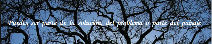 LidiaHCuenca's tweet photo. Recuerda que todo en lo que quieras convertirte depende únicamente de ti. #RRHH #Motivacion http://t.co/TsfNm39n8a