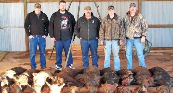 We have boar hunts for under $500!!!!!