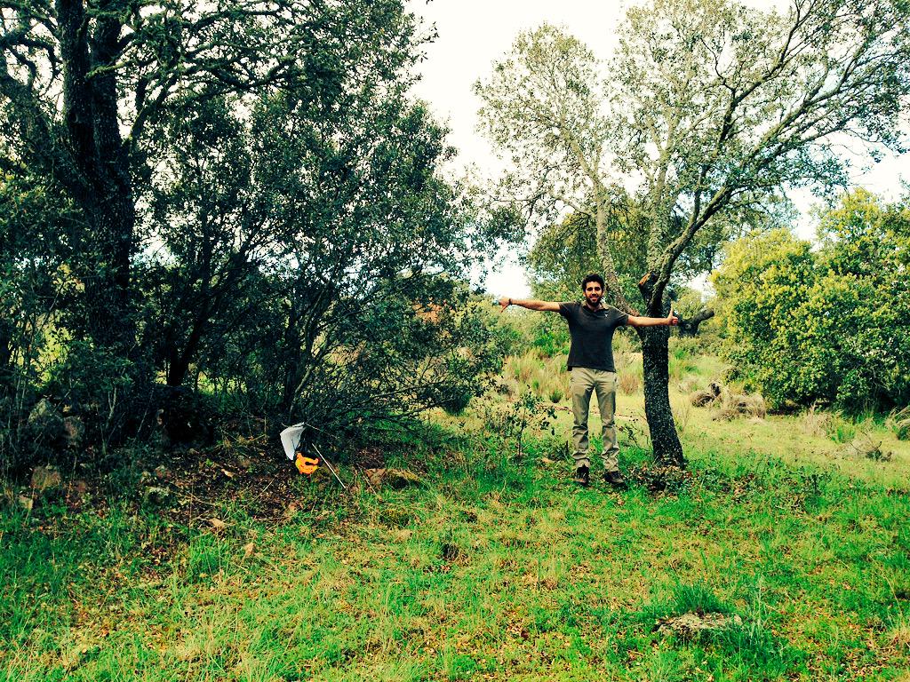 gmogorron's tweet photo. @jorgemongil #selviculturafotocontenido  Resalveo (derecha ejecutado, izquierda por ejecutar) sobre cepas de encina. http://t.co/U84FJvwmlX