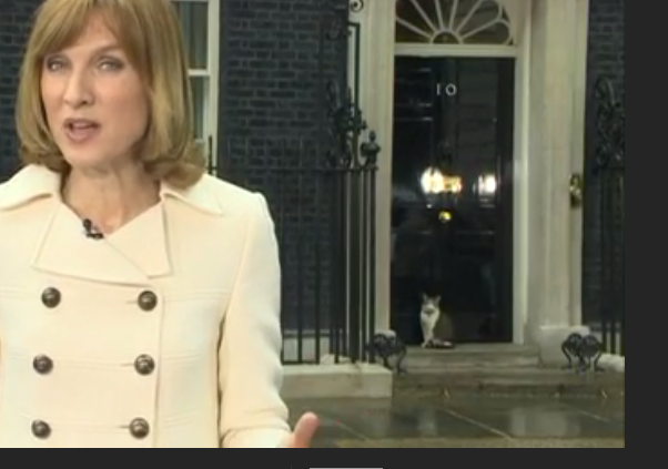 mesabegrave's tweet photo. BREAKING NEWS: A cat has declared himself Prime Minister of the UK. More info soon. #bbcelections2015 http://t.co/xgIdiRkiFk