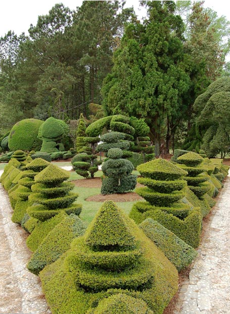 See world famous #topiary artist <a href="/pearl_fryar/">Pearl Fryar</a>, @MooreFarmsBG plant sale May 15/16. <a href="/AnsonMills/">Anson Mills</a> <a href="/Discover_SC/">South Carolina</a> <a href="/SCnow/">South Carolina Now</a>
