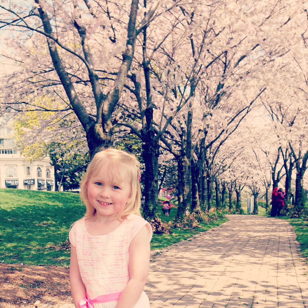 Things are really blossoming around here. #BurlON #waterfront #spring <a href="/DTBurlingtonON/">Downtown Burlington</a> <a href="/cityburlington/">City of Burlington</a> @Burl_ParksRec