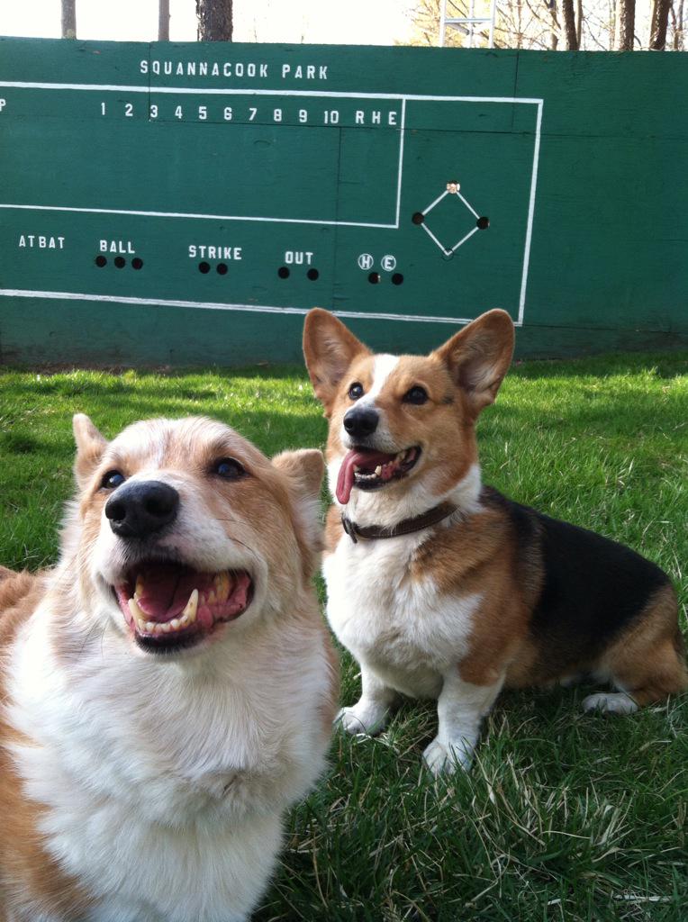 Happy &amp; Otto
