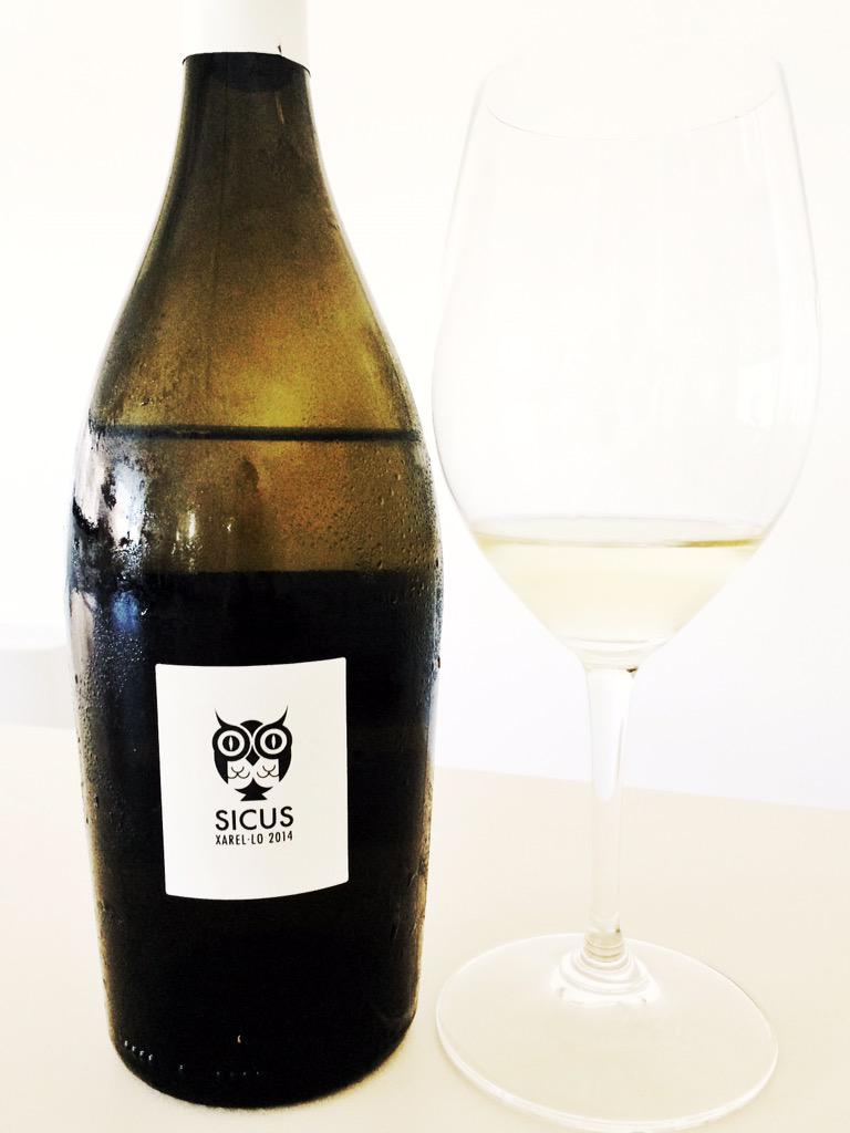 peresimo's tweet photo. Tastant amb l'Eduard @SICUSceller la delicadesa i profunditat de les #anfores #Xarel·lo #mediterrani #winelovers http://t.co/9DMfhTW6FO