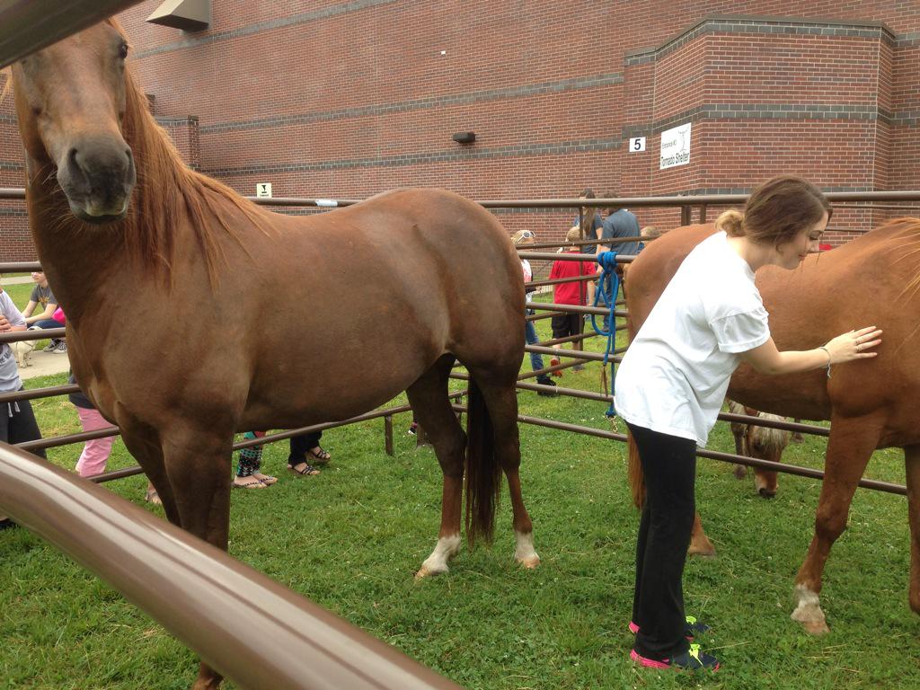 SenecaFCCLA's tweet photo. Teaching MyPlate and Traffic Safety at @SenecaFFA's Food for America http://t.co/yIt1GTOTfM