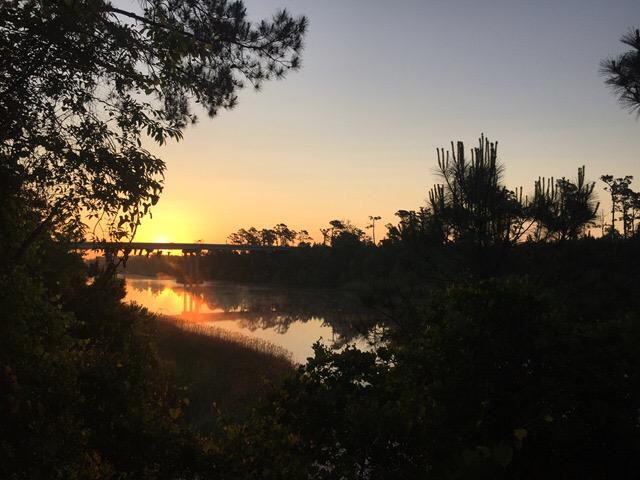 He jumped into the black water, you won't believe what he saw.  wp.me/pPfm9-1iU. #GUforit