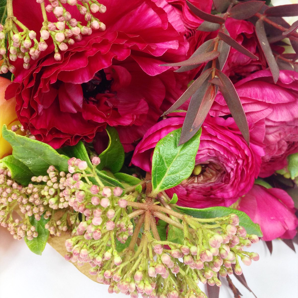 Bouquet tweet media