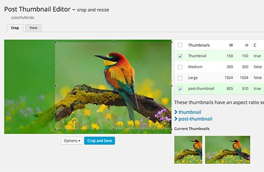 wpbeginner's tweet image. How to Crop and Edit #WordPress Post Thumbnails - wpbeg.in/1EnMWVW