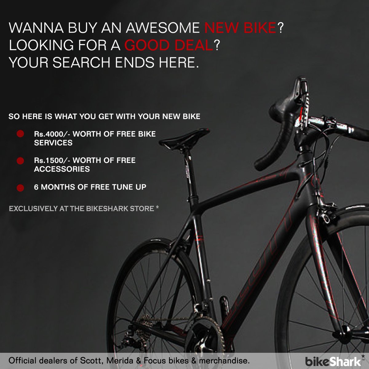 bikesharkindia's tweet photo. Wanna buy an awesome cycle?
Looking for a good deal?
Your search ends here. http://t.co/v1sSBrJDm1