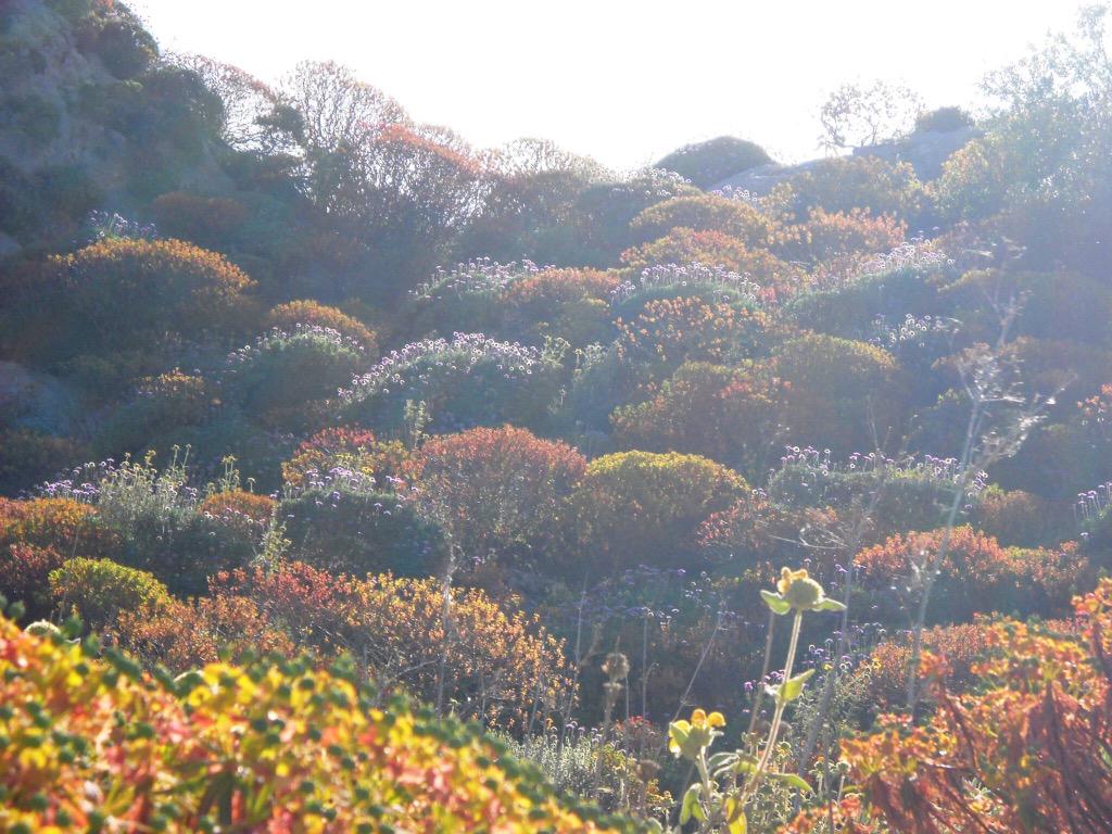 AgrigentoeDinto's tweet photo. #Sicilia nascosta... Scoprite il territorio di http://t.co/0b1pCoPcjW http://t.co/IASbQcE8x1