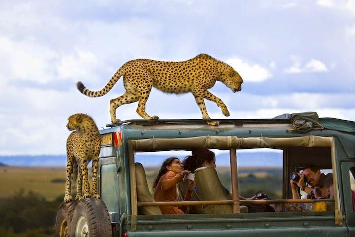 IBoomMedia's tweet photo. Winners of the 2013 National Geographic Traveler Photo Contest https://t.co/qQayHNIvFq http://t.co/WLUZh1IZJS