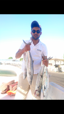 RaymarineME tweet picture