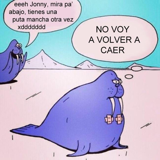 yisucrist's tweet photo. komo trolear a una morsa http://t.co/SuI9sK7xcz